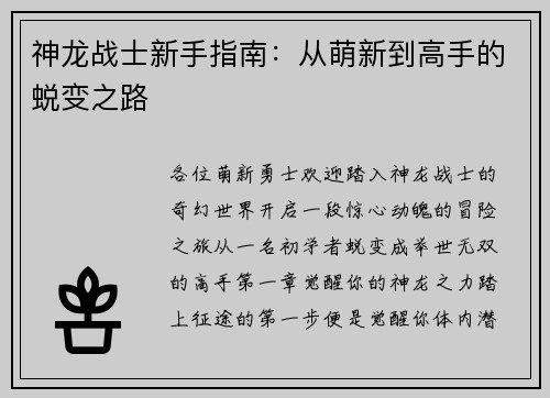 神龙战士新手指南：从萌新到高手的蜕变之路